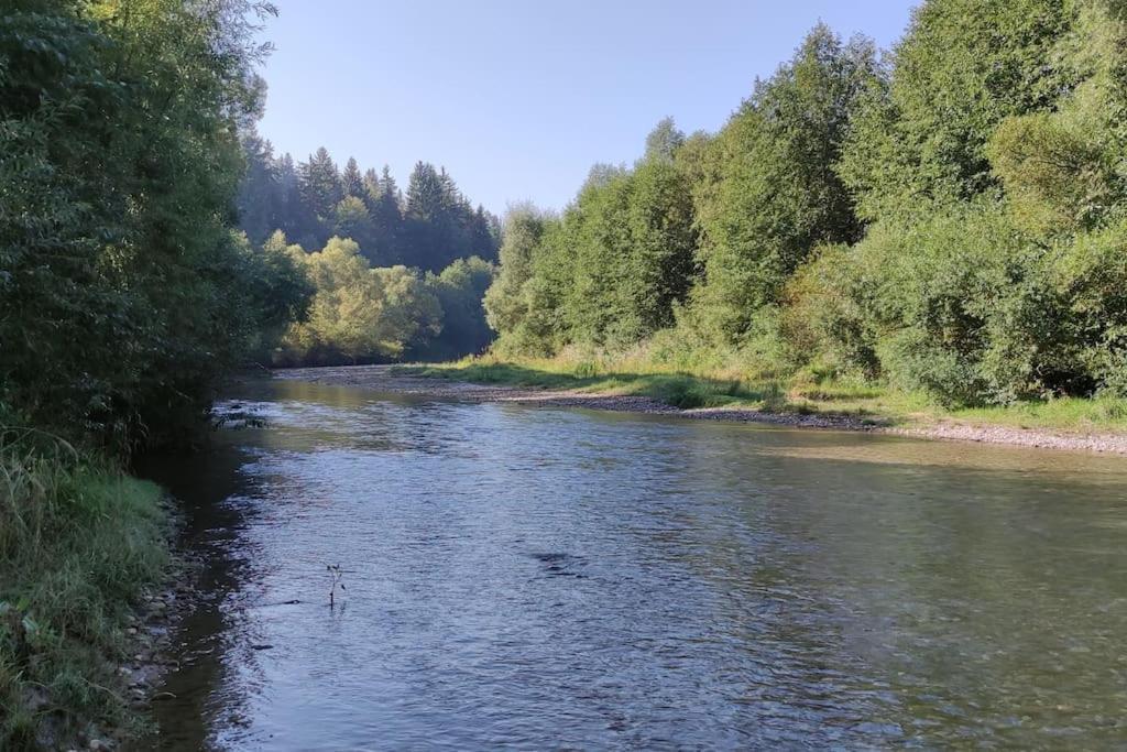 Cabanita Villa Întorsura Buzăului Eksteriør bilde