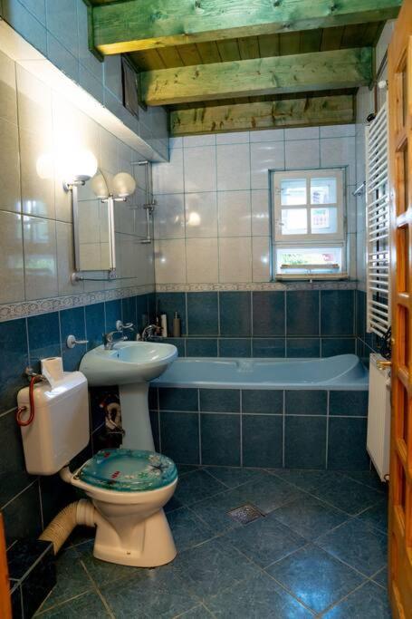 Cabanita Villa Întorsura Buzăului Eksteriør bilde