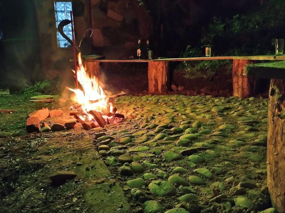 Cabanita Villa Întorsura Buzăului Eksteriør bilde