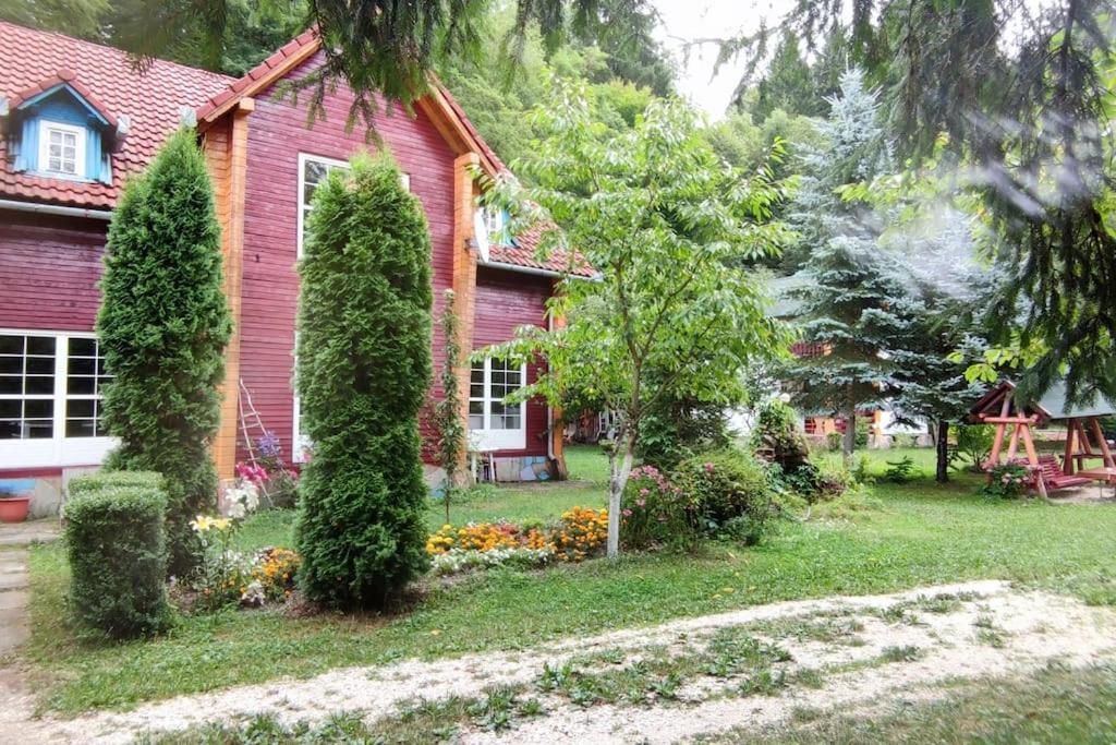 Cabanita Villa Întorsura Buzăului Eksteriør bilde
