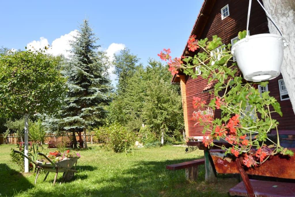 Cabanita Villa Întorsura Buzăului Eksteriør bilde