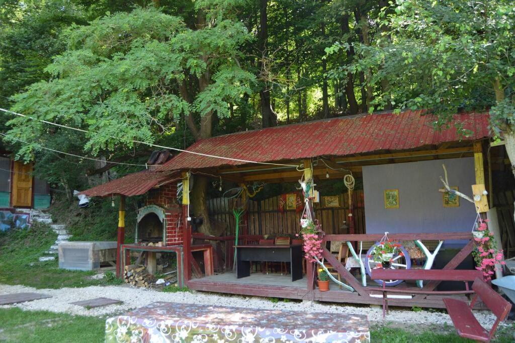Cabanita Villa Întorsura Buzăului Eksteriør bilde