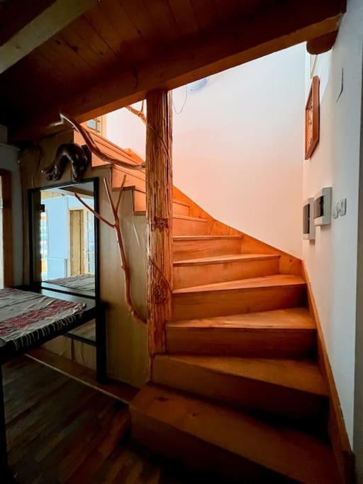 Cabanita Villa Întorsura Buzăului Eksteriør bilde